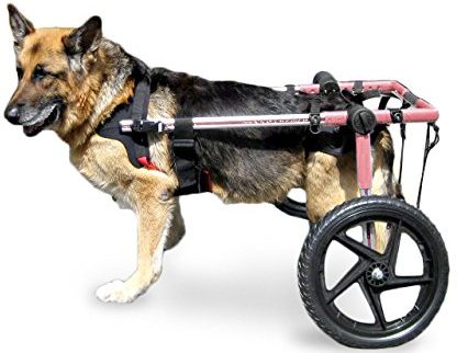 Walkin' Wheels-Dog Wheelchairs