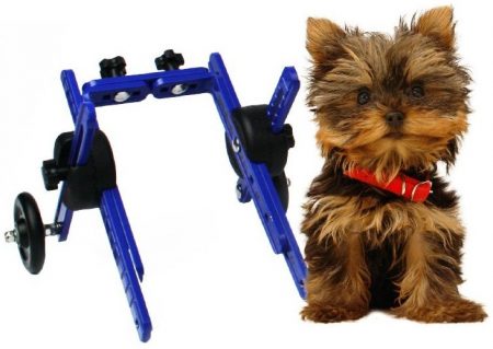 Walkin'-Wheels-dog-wheelchairs