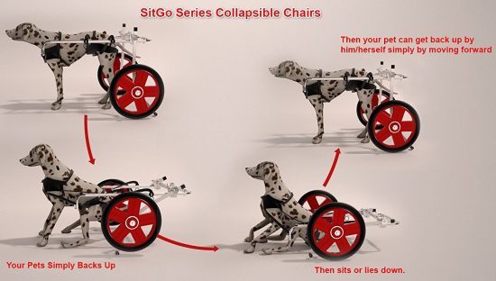 SitGo-dog-wheelchairs